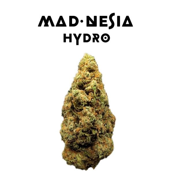 Mad-Nesia Hydro