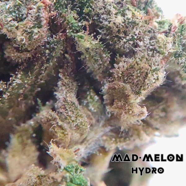 Mad-Melon Hydro (5g)