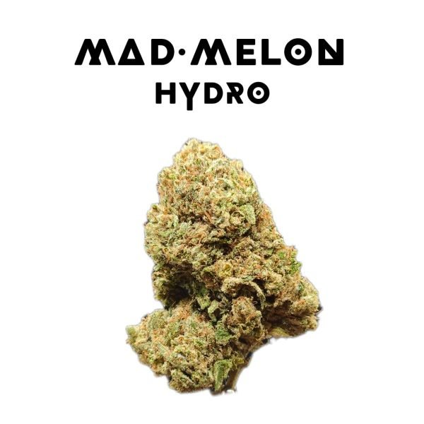 Mad-Melon Hydro (5g)
